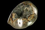 Polished, Crystal Filled Septarian Geode - Utah #149967-2